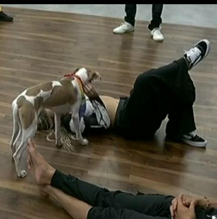 carla25417915's tweet photo. @Natynatashaaaa En vano inventas jajajajaj
Ella fue acariciarlo al perrito.  A Martín de joda le dijo eso, no al perrito.

Es la única, junto con martin que le hace jugar a Arturo  y limpio sus necesidades,  los demás ni caso le hacen Arturo https://t.co/ZEEskkk1nW