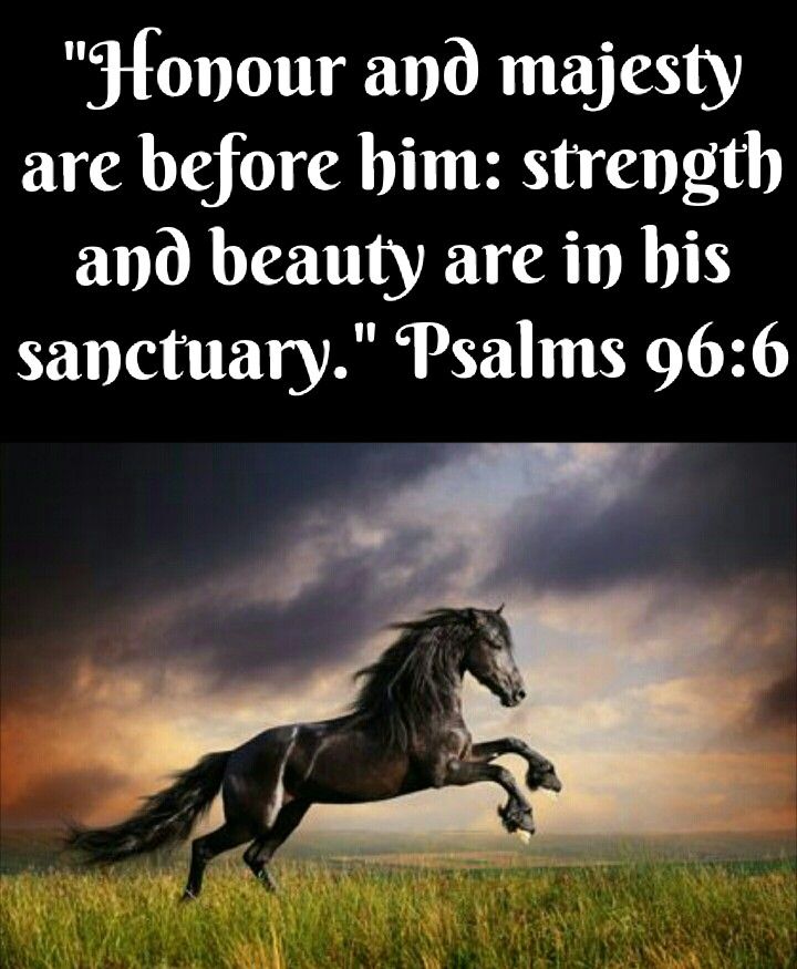 Psalms 96:6 Honour and majesty are before him: strength and beauty are in his sanctuary. 🙌