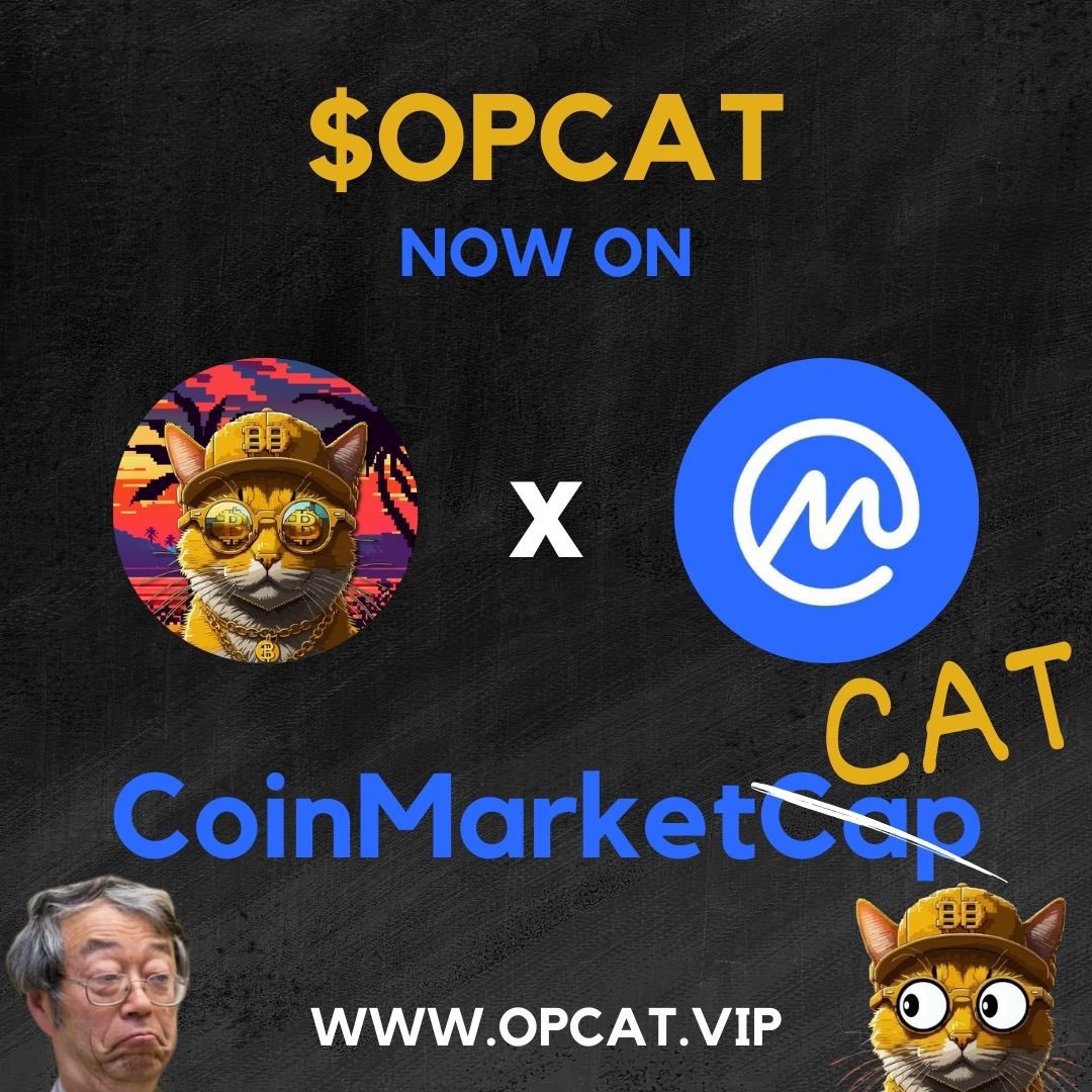 Satoshi Shiller tweet media