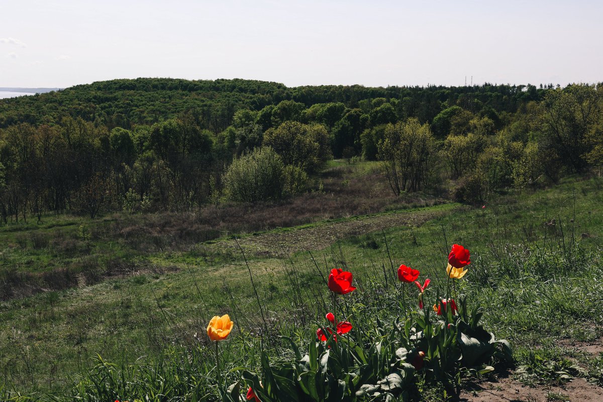 12:03 am in #Kyiv It was an emotional day. My eyes rested on beautiful Ukrainian landscapes. The US House approved military aid for Ukraine. I need some rest and hope to get it. russia is angry for sure, but who cares. Night-night. See you in the morning. A spring picture