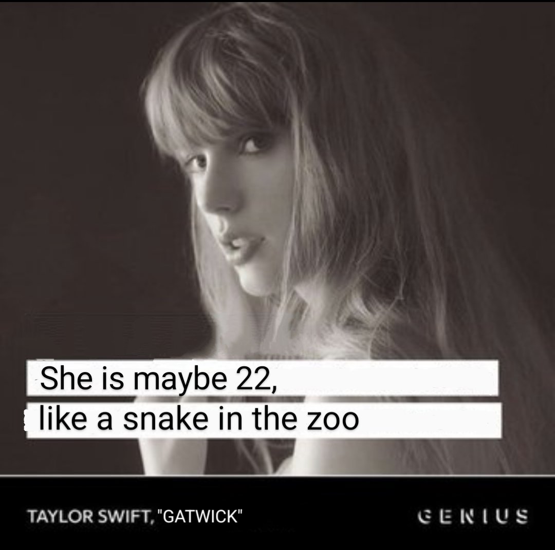 New Taylor Swift lyrics are wild