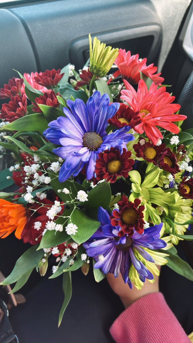 Katie Hedderman tweet media