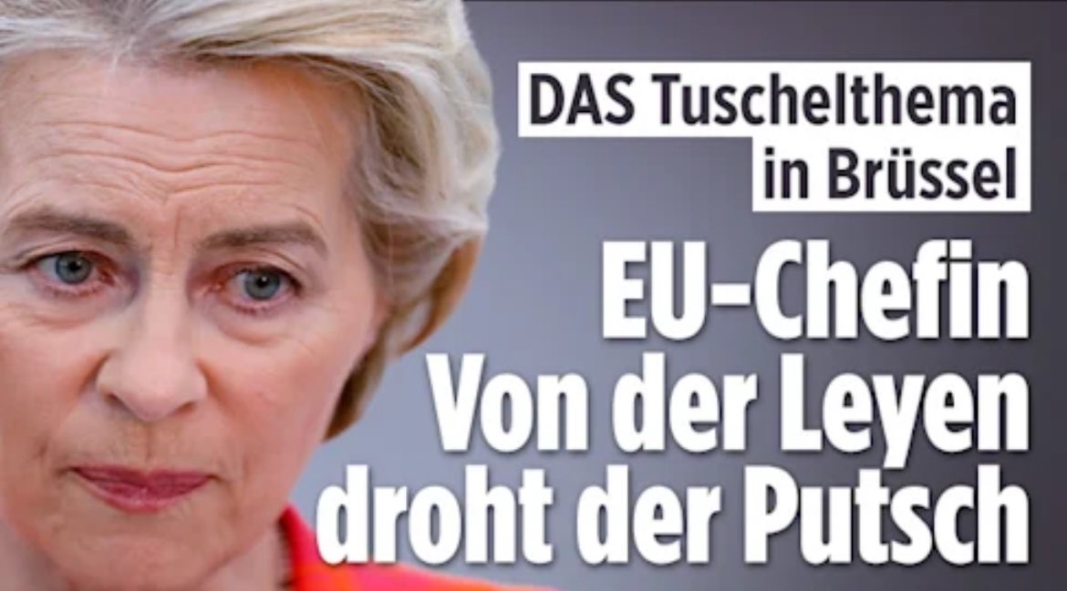 Ursula von der Leyen wurde durch Mauschelei im Hinterzimmer von Merkel in ihre Position gehievt. Kein EU-Bürger wollte sie als Kommissionspräsidentin. Sie steht für alles, was an der EU zu verachten ist: Korruption, ausufernde Bürokratie und Bevormundung.