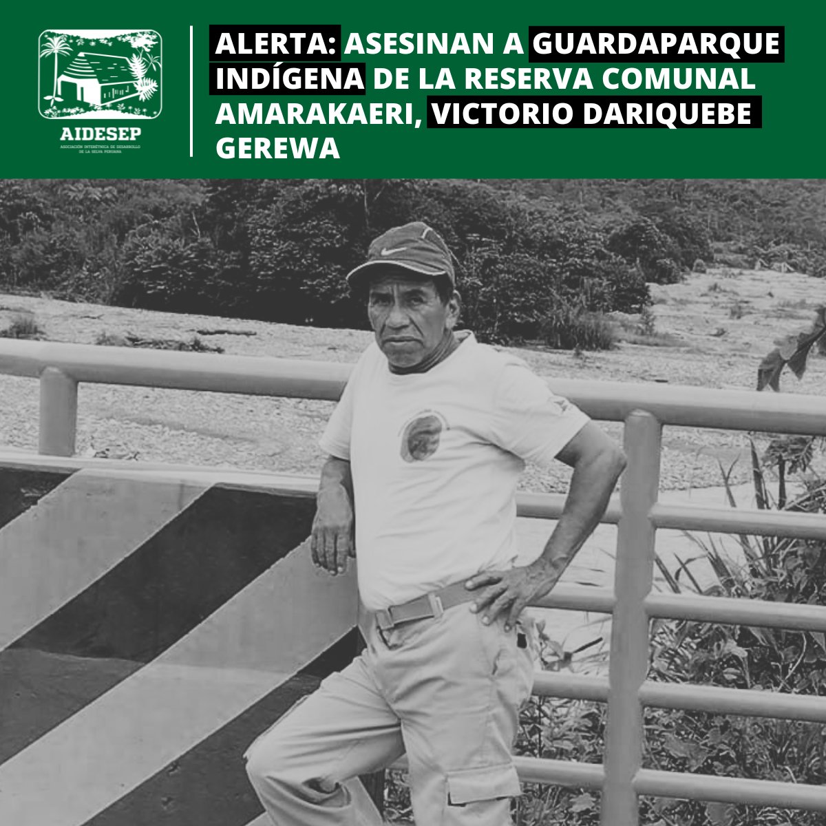 ¡Un nuevo asesinato de un hermano indígena enluta la Amazonía!
Esta vez se trata del guardaparque indígena de la Reserva Comunal Amarakaeri, Victorio Dariquebe Gerewa, quien fue asesinado el 19/04 cuando regresaba a su comunidad nativa Queros.