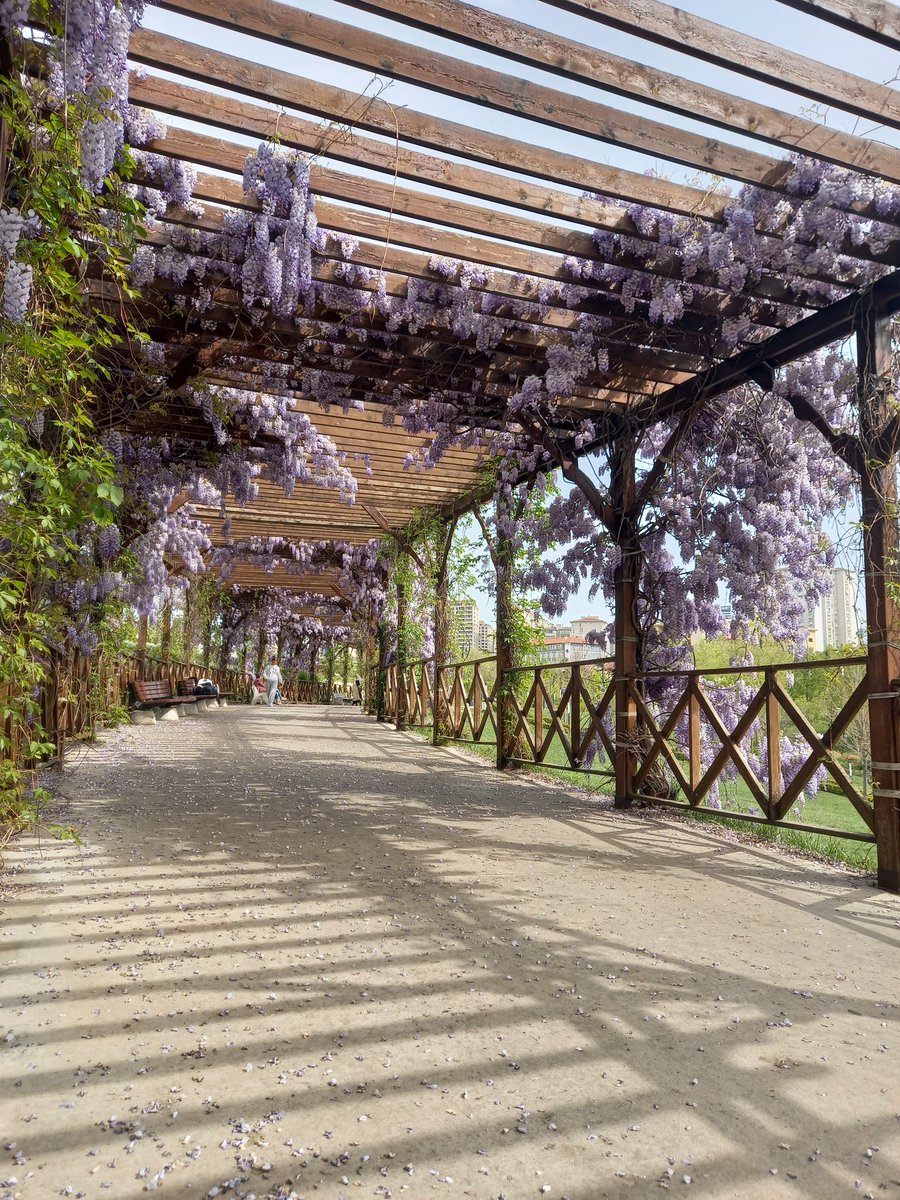 Dallardan bahar inmiş gördünmü.?¿ :)