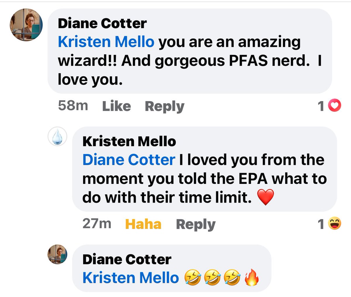 Di_Cotter's tweet photo. #sixdegrees of PFAS 
from my PFAS~tic friend and all around badass Kristen Mello @KLM_WRAFT https://t.co/vyT8kInFV9