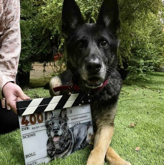 Anti with her very own clapperboard! @rickygervais #AfterLife #GoodGirl