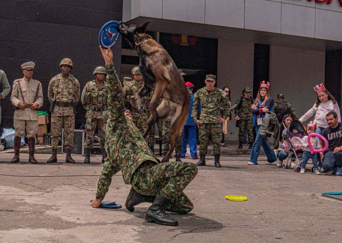 COL_EJERCITO's tweet photo. #DaleClic | Te compartimos los mejores momentos con nuestros #AmigosDe4Patas de la Escuela de Ingenieros, quienes asistieron a la @FILBogota, y  demostraron sus capacidades y habilidades para cautivar el corazón de los asistentes a este evento.

@CEMILEJC https://t.co/0ktAVz6YFq