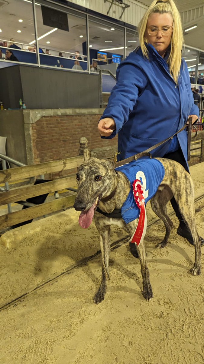RomfordDogs's tweet image. Race 11
Trap 2
Well done Silver Bucks 

Congratulations to all connections 💕