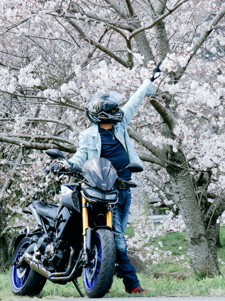 . おはよう︎︎︎︎︎︎𓂃◌𓈒𓐍 今日がダメなら 明日がある 今年がダメでも 来年がある 桜だって そうやって 毎年 咲いてるんだから .