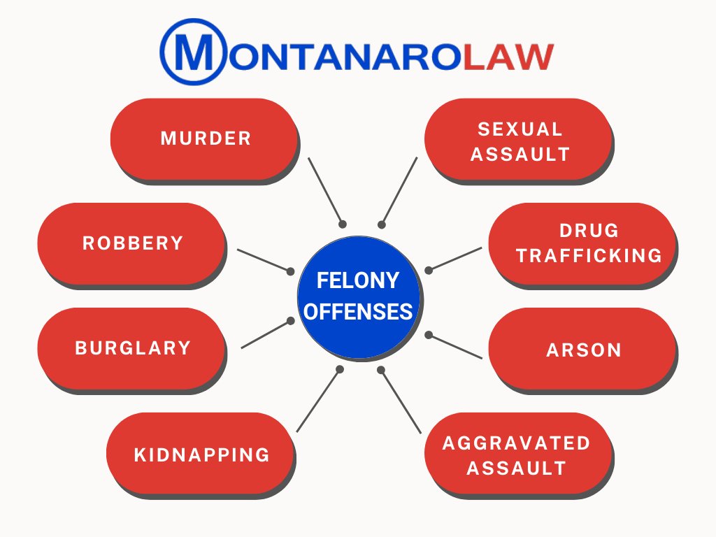Serious charges call for a serious defense. Call MontanaroLaw for powerful legal representation! #FelonyDefense #LegalRepresentation #MontanaroLaw #CriminalJustice #SeriousCharges #DefenseAttorney #CriminalDefense

(516)809-7735
montanarolaw.com
info@montanarolaw.com