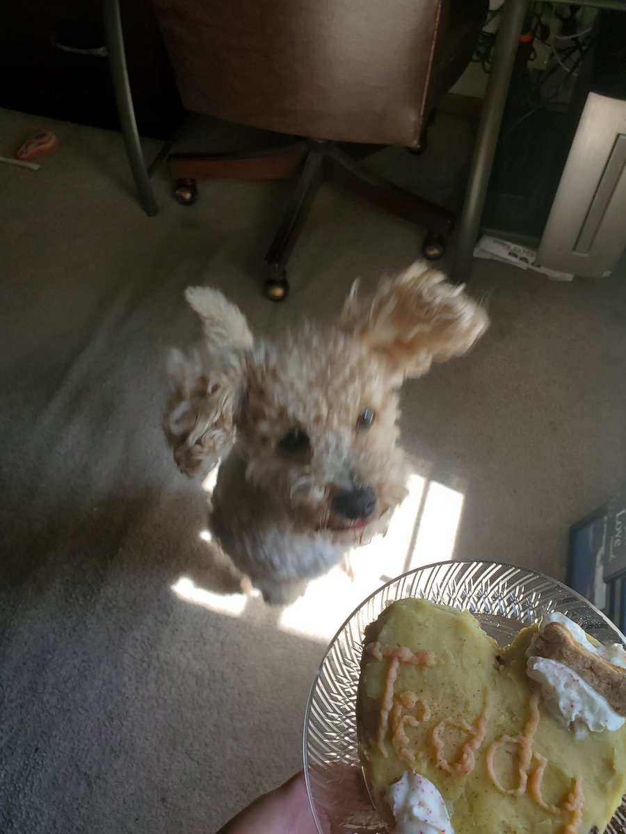 Syziggy 💖 tweet media