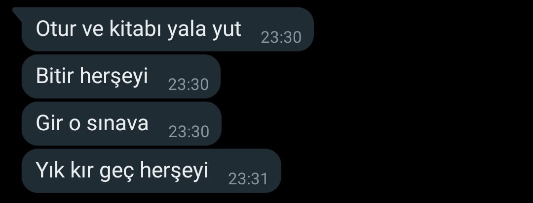 ALES için şu şekil gazlandım ama son gün