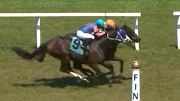#EddieWoodsStables grad Bassanio🇬🇧 (5g Bated Breath🇬🇧 / @JuddmonteFarms) duels to the wire and wins an allowance at Tampa by a head. Congrats to the winning connections! @LCStud, #PierHouseStud, @Doyle_Racing, @WestPointTbred, @Delacour_Arnaud, & @JockeyDCenteno. @Tattersalls1766