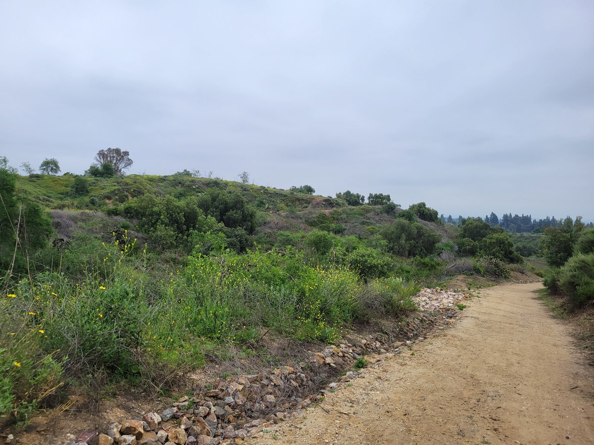 Violet Krueger tweet media