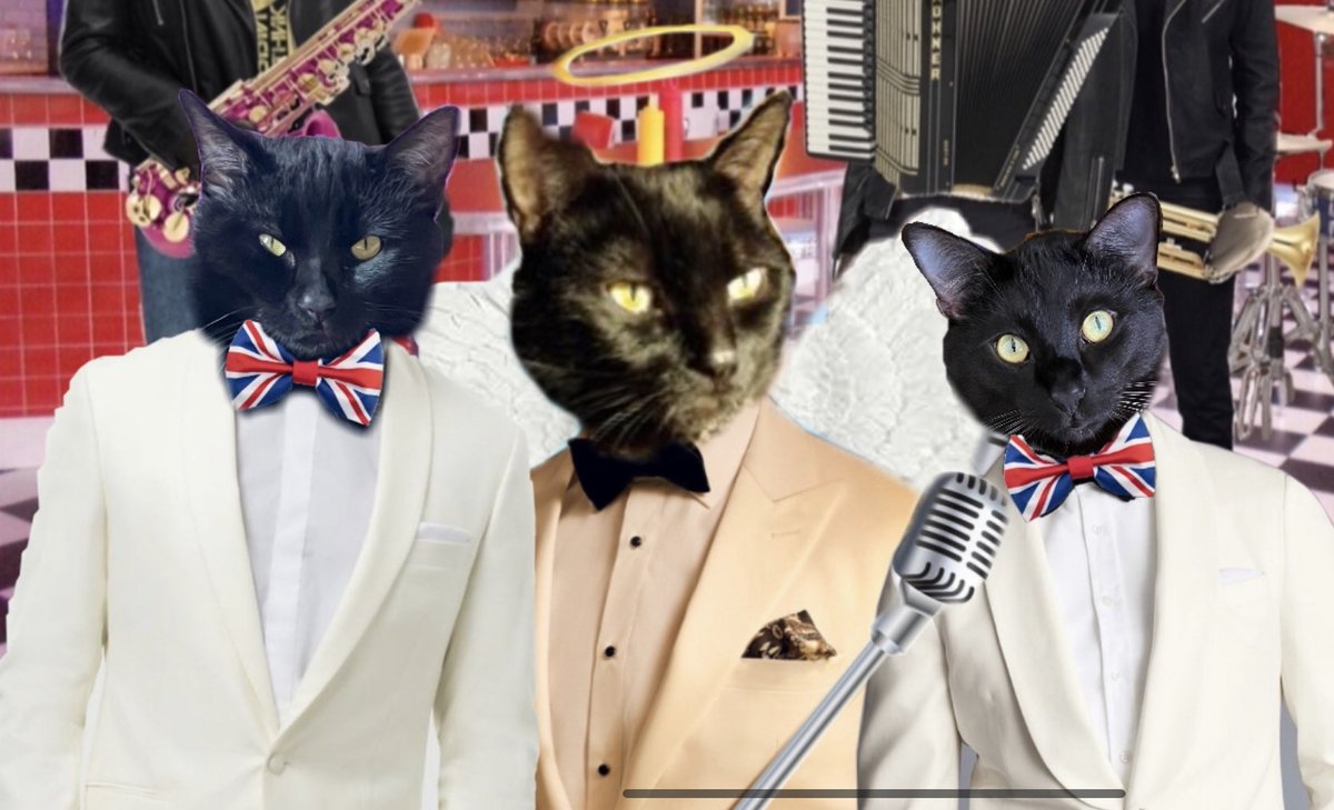 OK, we’re gonna slow things down a bit! Freddy is going to do his big number, “The Year of the Cat”! Ladycats and gentlemogs, put your paws together for Freddy, accompanied by Jet & Raven! 💕💕💕 youtu.be/Ak_MTXQALa0?si… #ECCPopUpDiner