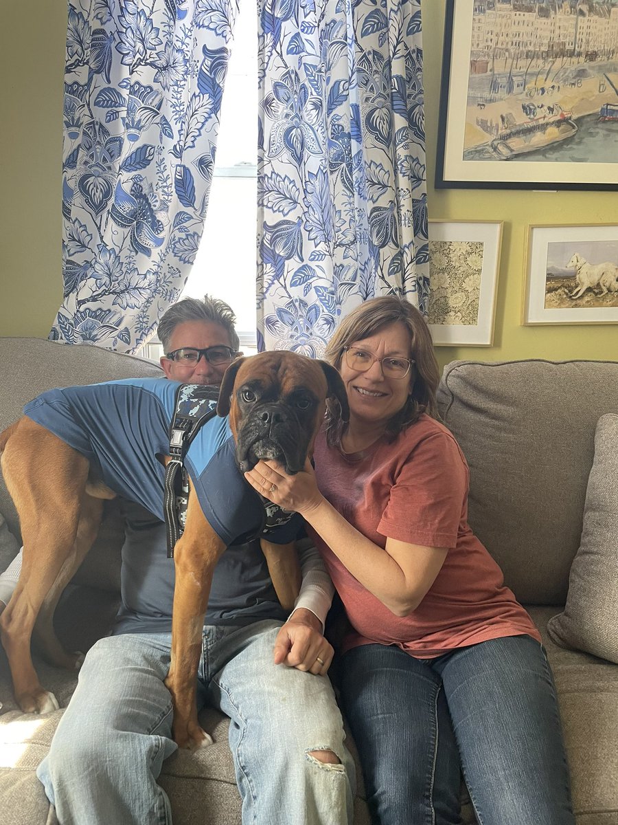 We had a busy weekend. Harry was one of the two boxers picked up by the police in #Philadelphia . And taken to @ACCTPhilly . He is now fully vetted & has a family of his own. He is loved already. #family #boxerdogs #BoxerLove #boxer #adopted #AdoptDontShop #shelterpet #happydog