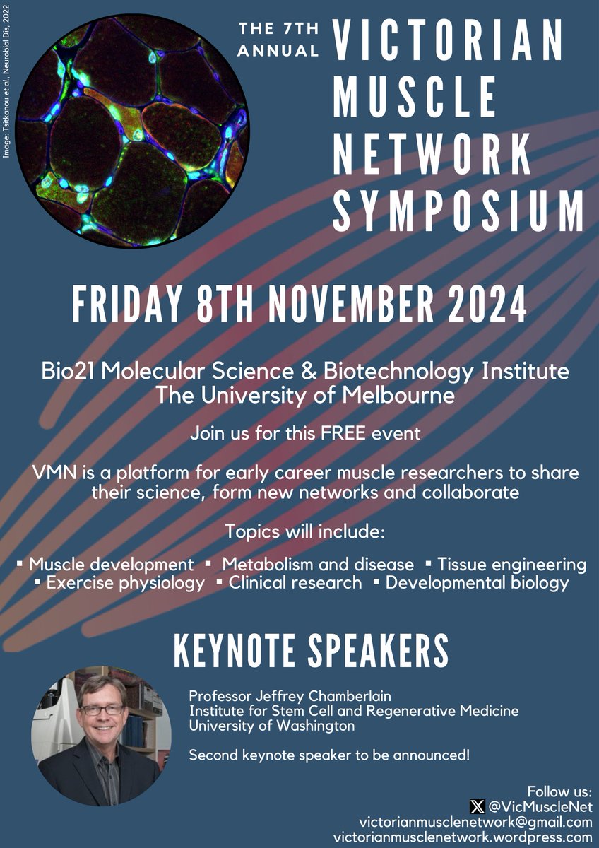 🗓 SAVE THE DATE! 🗓 Join us for the 7th Victorian Muscle Network Symposium on Fri, Nov 8th, hosted by @MCRI_for_kids. Explore cutting-edge muscle research, connect with fellow researchers, and hear from keynote speaker Prof. Jeffrey Chamberlain from @UW. Don't miss out! #VMN