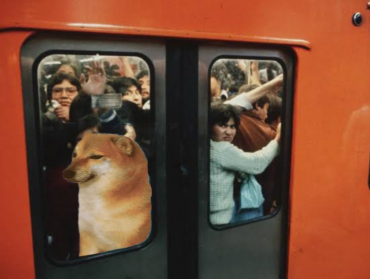 ElChato_J's tweet image. - Interpol en el Zócalo
-Bruce Dickinson en el Pepsi Center
-Tom Jones en el Metropólitan
-Mr. Big en el BB
-Pedro Fernández en la Arena CDMX
-Caifanes en el Auditorio Nacional
-Madonna en el Palacio de los Deportes

-Yo atorado en el metro sin planes, sin dinero y con ansiedad