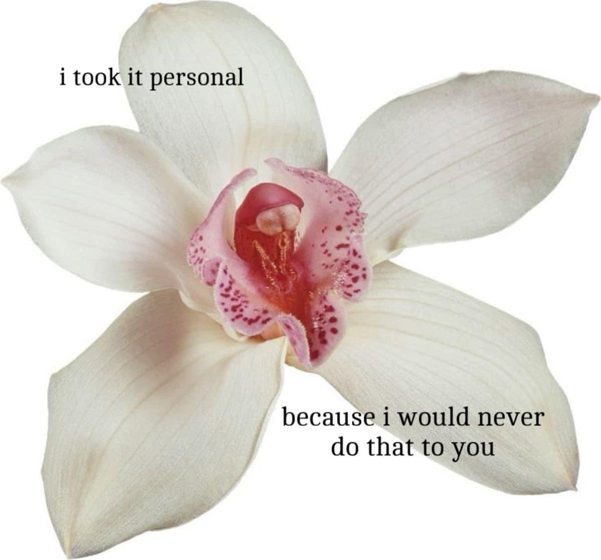 lovedropx's tweet image. 