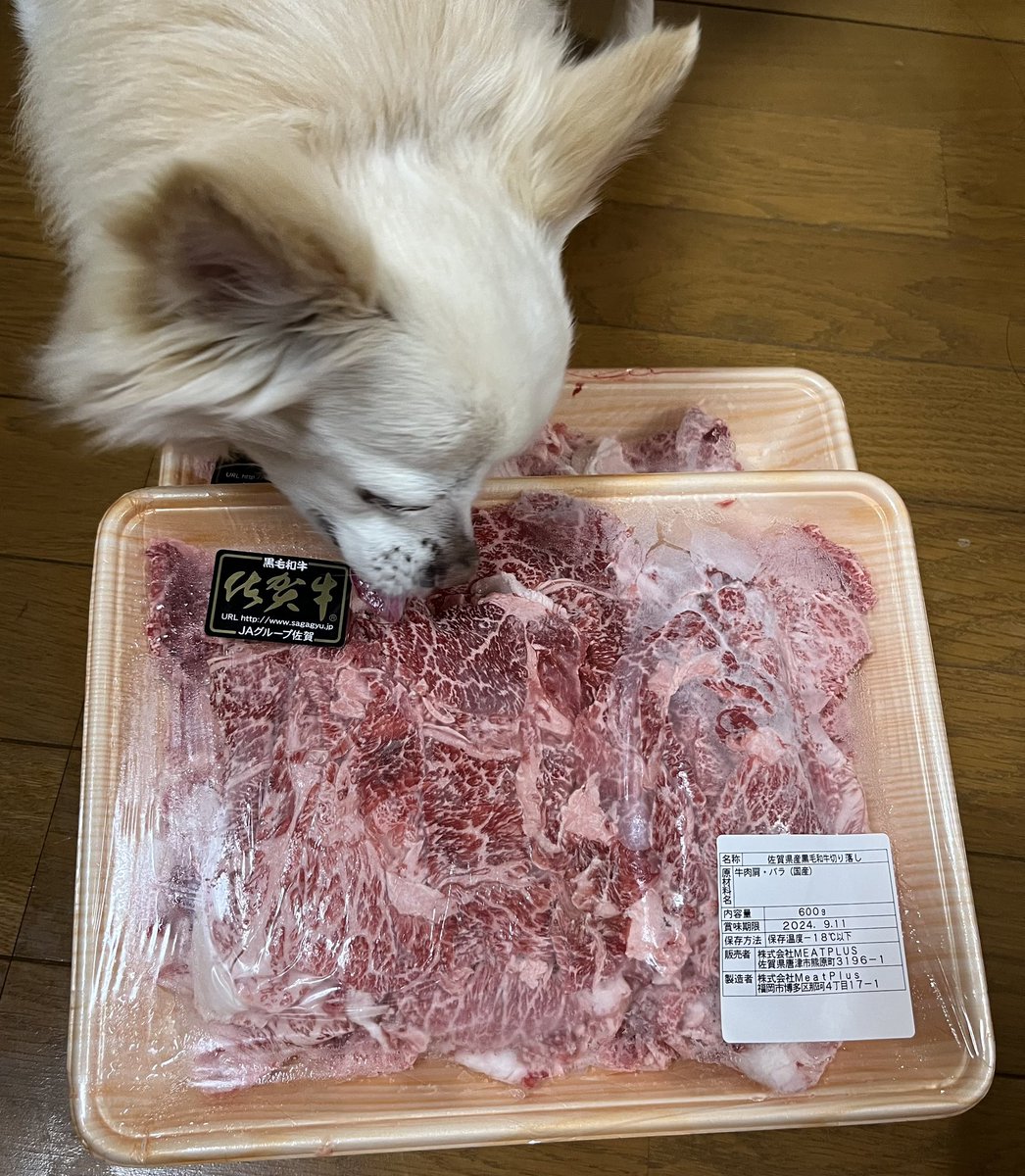 昨晩、佐賀県吉野ケ里町からふるさと納税のお肉が届きました😊
娘達に「GW何食べたい？」と聞いたら「にくーっ❣️」と言う答えが帰ってきたので注文しました。
GW何作ろうかな♪
↓は荷物チェックの🐶の図
#ふるさと納税