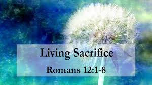 The Forge tweet media