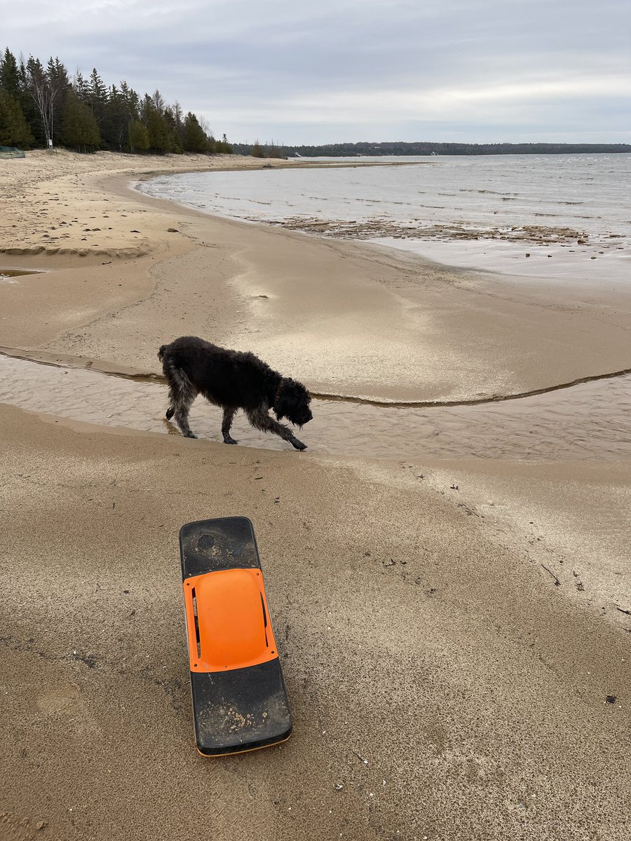 Future Motion #OneWheel Doge Love #doge