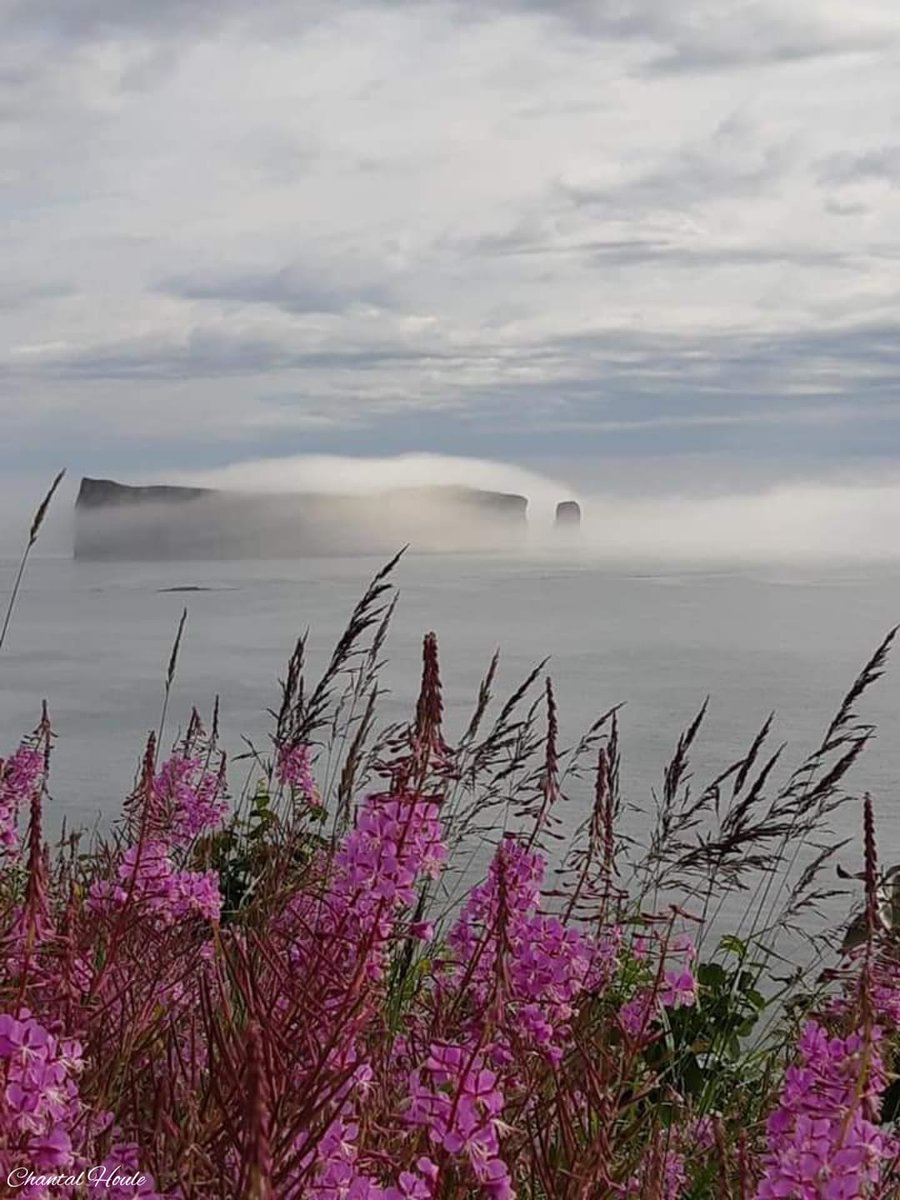 Le rocher Percé dans la brume... Crédit photo : Chantal Houle (Regard sur la Gaspésie, 2021)