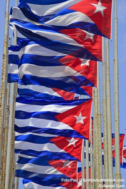 Esta es mi bandera, la bandera de los Cubanos. #IzquierdaPinera