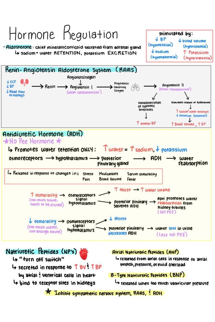 Hormone Regulation