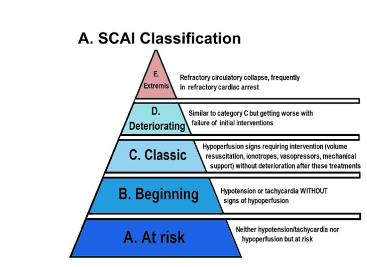 jpcostabel's tweet photo. Shock cardiogenico: nuevos mensajes… entender la etiología y hacer un manejo muy individualizado evitando correr de atrás el problema! https://t.co/W4V5YhBn0y