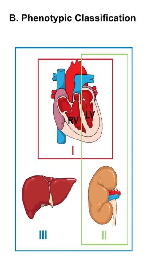 jpcostabel's tweet photo. Shock cardiogenico: nuevos mensajes… entender la etiología y hacer un manejo muy individualizado evitando correr de atrás el problema! https://t.co/W4V5YhBn0y