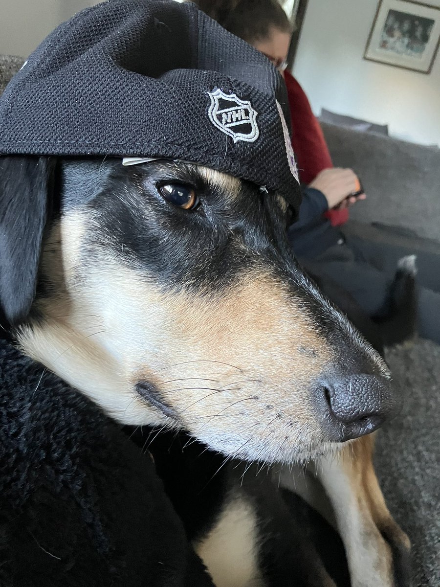 CoachMsquared's tweet photo. First night of the Stanley Cup playoffs! Someone can’t wait for @LAKings and @BaileyLAKings https://t.co/dWJnUopJKW
