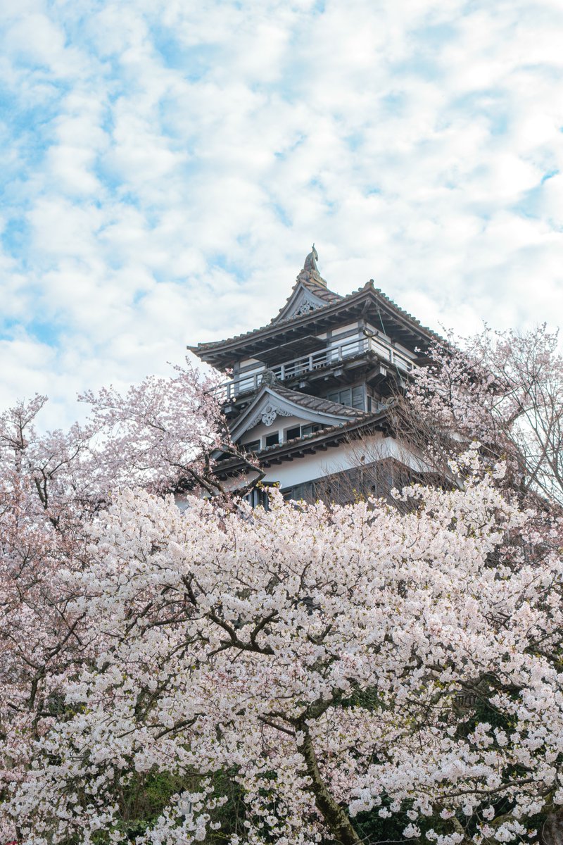 春の丸岡城🏯🌸

2024/04/08
#桜 #丸岡城
#flowers
#東京カメラ部 #tokyocameraclub
#私とニコンで見た世界
#ファインダー越しの私の世界
#写真好きな人と繋がりたい
#額装のない写真展