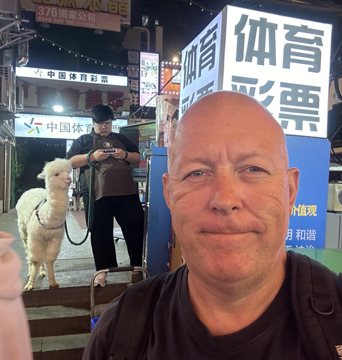 guy out taking his lama for a walk Qingdao, China