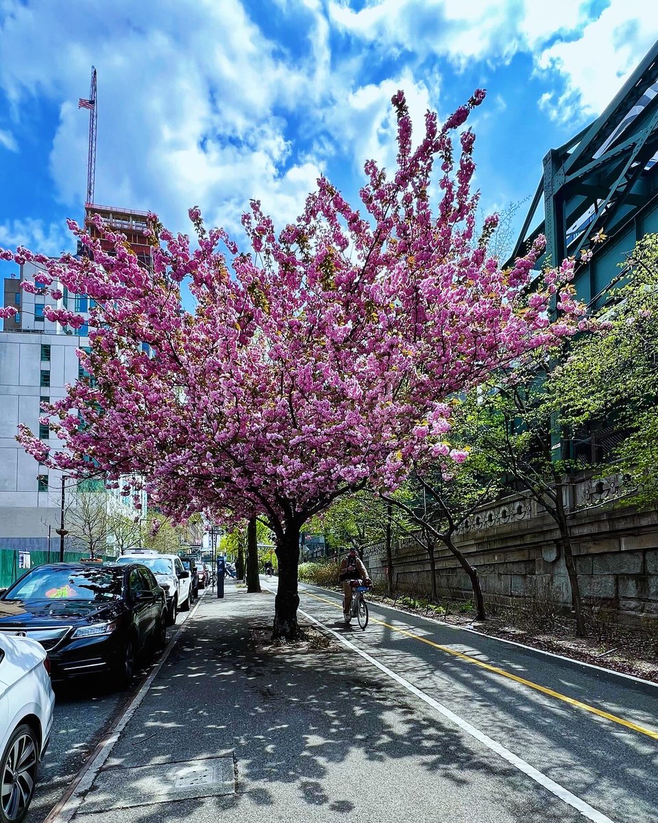 omardpal's tweet photo. Wet and cold morning => sunny and warm afternoon.
#cloudyday #rainyday #longislandcity #queens #nyc #ny1pic #nycparks #nyc #newyork #newyorkcity #shotoniphone #bikeride #saturdaymorning #loves_nyc #ilovenyc #likenewyorkcity #nycityworld #timeoutnewyork #ThingsToDoInNYC #WeLoveNYC https://t.co/ZDOam2nGvN