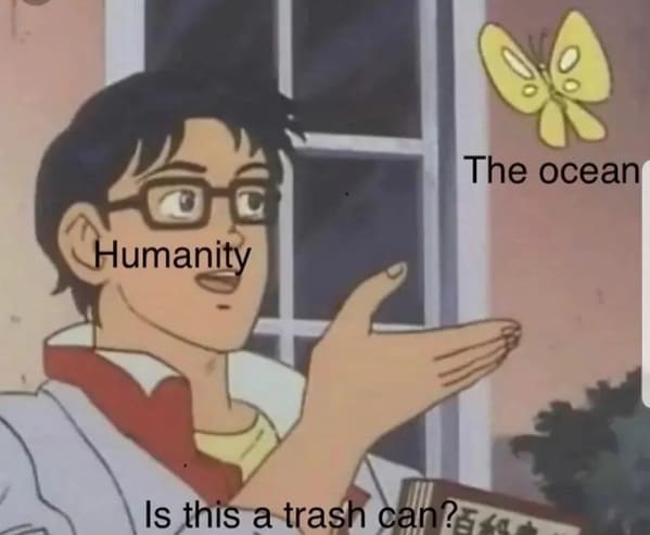 BigWillymeme's tweet image. My home is not a trash can.  Please help me get it cleaned up.