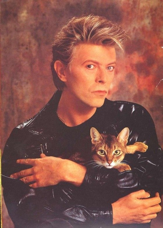 David Bowie with his cat.