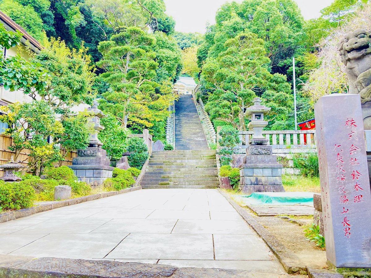 真鶴半島にある「貴船神社」さんの御神木です。
御祭神が大国主様です。
えっ？って思いますよね。