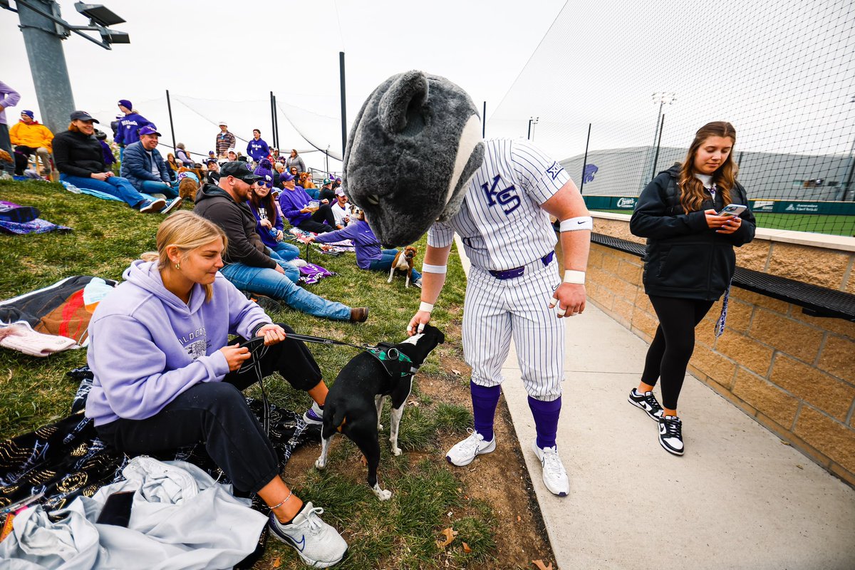 These Cats 💜 their dogs 

#KStateWBB x @KStateBSB