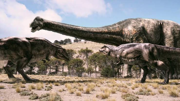 この番組の名前分からないけどこのギガノトサウルスが無茶苦茶可愛いくて好き
 同士いますか？
 #ギガノトサウルス #Giganotosaurus