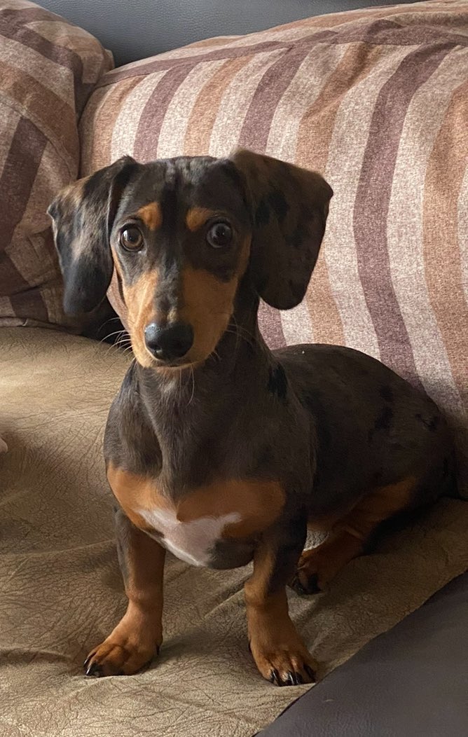 Dr Nacho Mintz (@nachomintz) on Twitter photo 