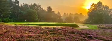 LawrenceKingsn2's tweet photo. #essexgolfunion Good luck to County junior members playing in the @britishjuniorgolftour being played @thetfordgolfclub tomorrow Leaderboard https:// https://t.co/AjgKJVtIPI
brigt2411/contest/13/leaderboard.htm #essexgolf #essexjuniorgolf https://t.co/bH5hvEEHFk