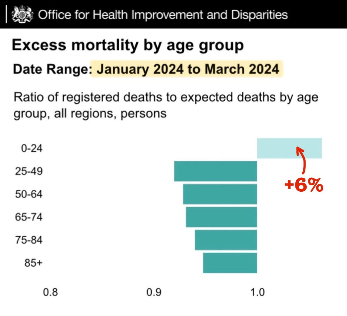 Remember how the baseline for calculating excess deaths was changed recently to include all pandemic years, reducing 2023 excess deaths by 60%?

Figures for Q1 2024 are now in… 

…and, despite the NEW baseline, excess deaths in 0-24 yr olds are STILL 6% higher than expected.