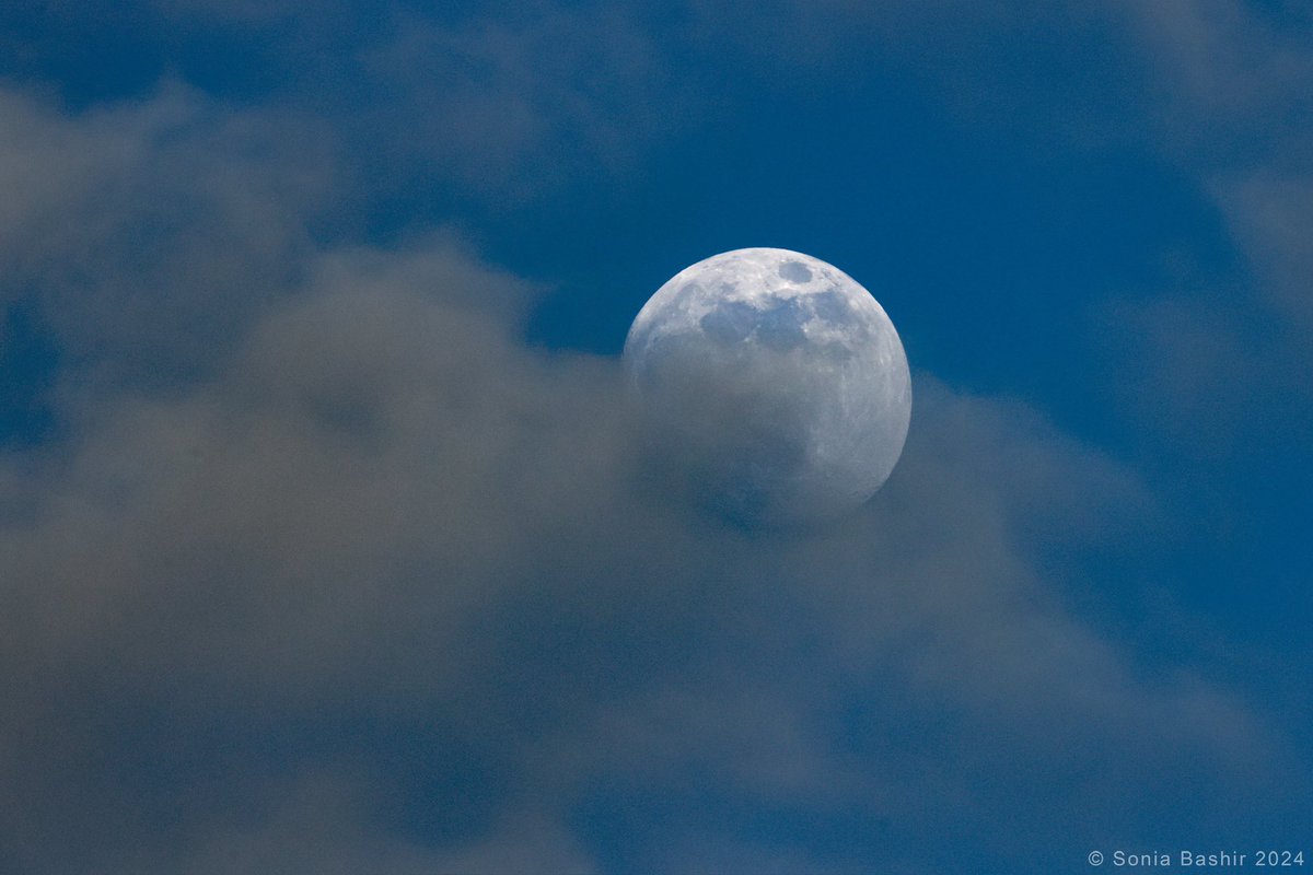 Moon | Preston