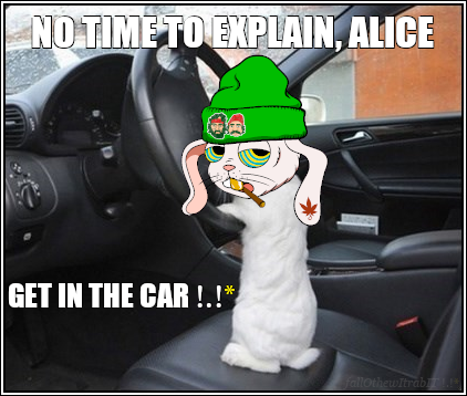 ғᴀʟʟO ᴛʜᴇ ᴡIᴛ ʀᴀʙIT !.!* tweet media