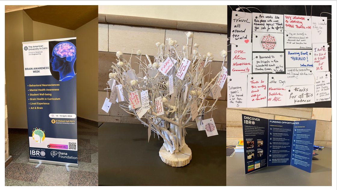 Eman_Khalil0's tweet photo. 🧠Reflecting on a Phenomenal Brain Awareness Week! We want to extend our deepest gratitude to @IBROorg /@dana_fdn for sponsoring this event &amp; to everyone who joined us on this incredible journey through fascinating realms of brain health, neuroscience, and psychology.@TheBaleLab https://t.co/cEDFIJpOEh