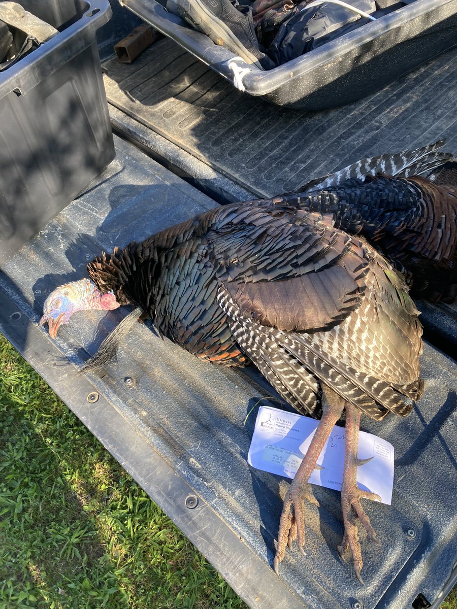 Once again, the Lord blessed me this morning.