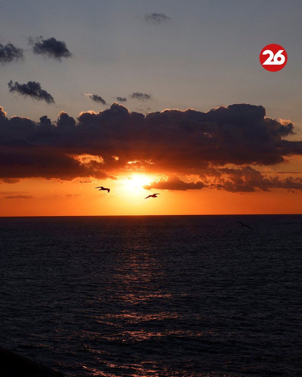 canal26noticias's tweet photo. 🌇 ATARDECER EN ITALIA 🇮🇹 

👉Estas impresionantes imágenes capturan la silueta de un faro iluminando el horizonte en la isla de Capri. Además, desde aquí, se puede disfrutar de la vista de la isla de Ischia al atardecer.

📲 Más noticias en https://t.co/fIGo3oWjGs

#isladecapri #atardecer #Canal26