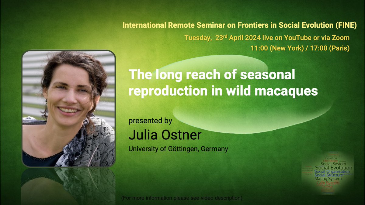 Next Tuesday, 23rd April, Julia Ostner, from University of Göttingen will present at FINE her work on 'The long reach of seasonal reproduction in wild macaques'. Join us via Zoom or watch live on our YouTube channel. 11:00 NYC / 17:00 Paris